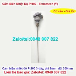 Cảm biến nhiệt độ Pt100 dài 300mm Termotech