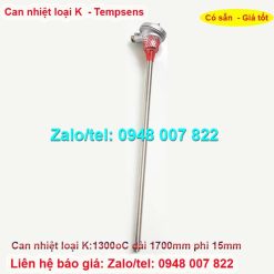 Can nhiệt loại K dài 1700mm phi 15mm Tempsens