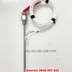 Dây cảm biến nhiệt độ Pt100 dài 4m Tempsens