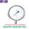 Đồng hồ đo áp suất chính xác 0.6 Suchy MRF-36