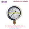 Đồng hồ đo áp suất 25bar Suchy MR-10F