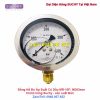 Đồng hồ đo áp suất 400bar Suchy MR-10F